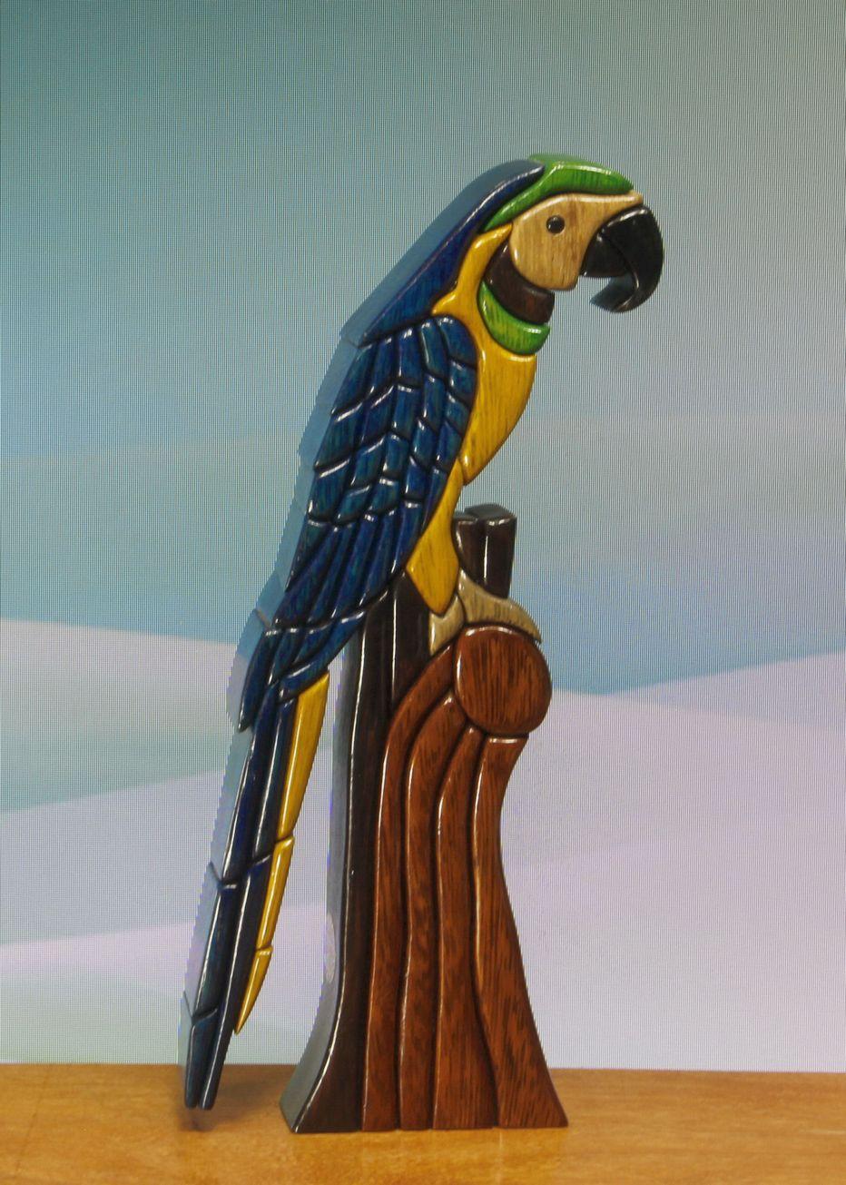 Parrot